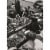 Avanti Press Greeting Card Birthday Polish Sausage Store Perspective: front