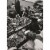 Avanti Press Greeting Card Birthday Polish Sausage Store Perspective: front
