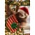 Avanti Press Greeting Card XMS Sloth with Gift Perspective: front