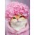 Avanti Kitty Cat with Pink Hydrangea Cap Mother's Day Card Perspective: front