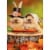 Avanti Press Greeting Card Halloween Bunny Pilgrims Perspective: front