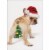 Avanti Press Greeting Card Christmas Dog Ornament Butt Perspective: front
