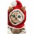 Avanti Press Greeting Cards Christmas Kitten Knit Santa Hat Perspective: front