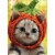 Avanti Kitten Wearing Knit Pumpkin Hat Cute Halloween Card Perspective: front