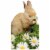 Avanti Press Greeting Cards Easter Bunny Smelling Flower Perspective: front