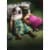 Avanti Press Greeting Cards Valentine's Day Puppy Love Perspective: front