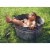 Avanti Press Greeting Cards Birthday Little Boy in Washtub Perspective: front