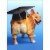 Avanti Corgi Dog with Grad Cap on Butt Funny/Humorous Graduation Card Perspective: front