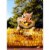 Avanti Press Greeting Card - Chipmunk Corn Teeth Perspective: front