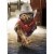 Avanti Press Greeting Cards Birthday Cowboy Owl Perspective: front