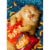 Avanti Press Greeting Cards Birthday Cheese Puff Cat Standout Perspective: front