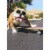 Avanti Press Greeting Cards Birthday Dog/Skateboard/Sunglasses Perspective: front