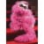 Avanti Press Greeting Cards Birthday Cat with Feather Boa Perspective: front