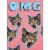 Avanti Press Greeting Cards Birthday OMG Cat Perspective: front
