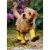Avanti Press Greeting Card Get Well Puppy In Garden Perspective: front