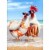 Avanti Press Greeting Card Anniversary Chicken Couple On Beach Perspective: front