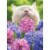 Avanti Press Greeting Card Blank Cat in Flowers (Hyacinths) Perspective: front