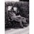 Avanti Press Greeting Cards Friendship- NEWSPAPER WOMEN Perspective: front