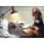 Avanti Dog Typing at Vintage Typewriter Funny / Humorous Thank You Card Perspective: front