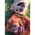 Avanti Press Greeting Cards Birthday Happy Dogs (Odin and June) Perspective: front
