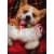 Avanti Press Greeting Cards Christmas Stocking Corgi Perspective: front