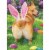 Avanti Press Greeting Cards Easter Dog Butt Bunny Ears Perspective: front