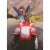 Avanti Girl with Raised Arms and Dog Driving Red Go Cart Graduation Card Perspective: front