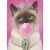 Avanti Press Greeting Card Birthday- Fancy Bubble Gum Cat Perspective: front