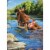 Avanti Press Greeting Card - Birthday Bear in Lounge Chair Perspective: front