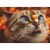 Avanti Press Greeting Cards Halloween Candy Corn Cat Perspective: front