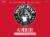 Woodchuck Amber Hard Cider Perspective: front