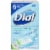 Dial Coconut Water Ultra Fresh Hydration Refreshing Bar Soap Perspective: front