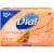 Dial® Tropical Escape® Antibacterial Deodorant Bar Soap Perspective: front