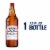 Budweiser American Lager Beer Perspective: front