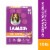 Iams Proactive Health Healthy Aging Dry Senior Dog Food Real Chicken Flavor Perspective: front