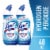 Lysol Cool Spring Breeze Toilet Bowl Cleaner with Hydrogen Peroxide Twin Pack 2 Count Perspective: front