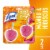 Lysol Brand New Day Automatic Toilet Bowl Cleaner Mango and Hibiscus Perspective: front