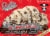 Toft's Tin Roof Sundae Ice Cream Tub Perspective: front