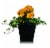 Spring Pallet Plant Perspective: front