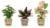 5 in Foliage In Jute Perspective: front