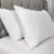 Sealy Cotton Touch Soft Zippered Pillow Protector King Perspective: front
