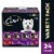 Cesar Adult Soft Wet Dog Food Beef Filet Mignon Chicken & Porterhouse Steak Variety Pack Perspective: front