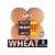 Healthy Life® Lewis Bake Shop Wheat Sandwich Buns Perspective: front