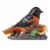 Jim Shore Bold & Beautiful Polyresin Baltimore Oriole 6010281 Perspective: front
