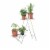 Wallflower Plant Stand, White Perspective: front