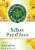 Traditional Medicinals® Yellow Pau d' Arco Tea Bags Perspective: front