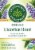 Traditional Medicinals Organic Licorice Root Tea Bags 16 Count Perspective: front