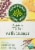 Traditional Medicinal Tulsi With Ginger Tea Bags 16 Count Perspective: front
