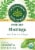 Traditional Medicinals® Organic Moringa With Spearmint and Sage Tea Bags Perspective: front