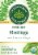 Traditional Medicinals® Organic Moringa With Spearmint and Sage Tea Bags Perspective: front